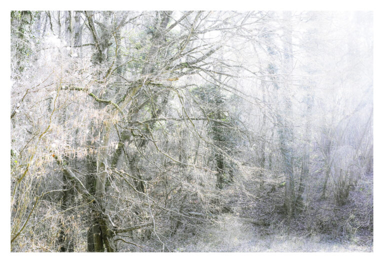 _P3M1192 web